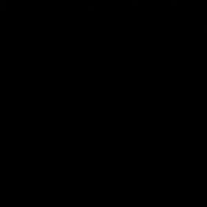 Meet your Posher, Aaliyah